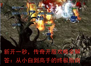 ¿һ룬濪ȫ𣺴С׵ֵռָ