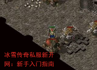 ѩ˽¿ָ