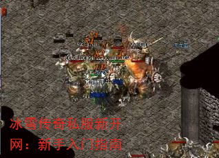 ѩ˽¿ָ
