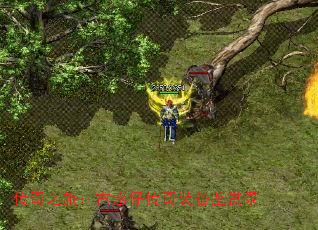 ֮ãŻдװ¼