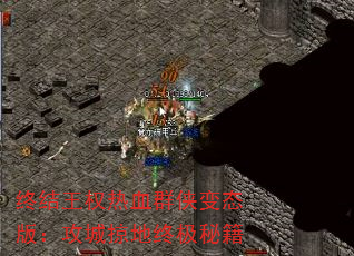 սȨѪȺ̬棺ӵռؼ