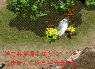 ϡװ֪٣SFϻ淢ַ