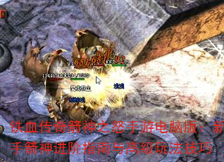 Ѫ֮ŭε԰棺ָּ߼淨