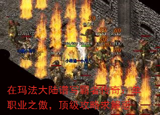 귨½дߴ棺ְҵ֮