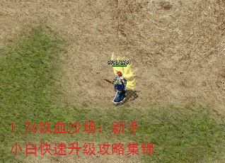 1.76ѪɳС׿Լ