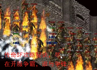 SFؾڿԣ˭