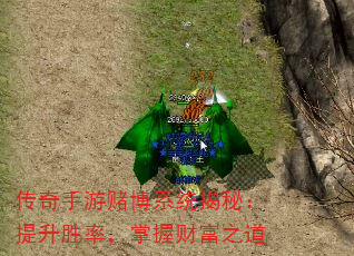 ζĲϵͳأʤʣղƸ֮