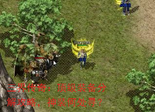 紫棺װֽ⹥ԣװδѰ
