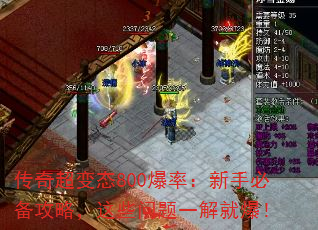 泬̬800ʣֱرԣЩһͱ