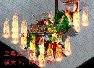 ̬棺ͽݺ£˭棿