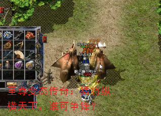 ̬棺ͽݺ£˭棿