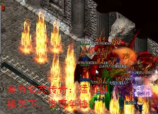 ̬棺ͽݺ£˭棿