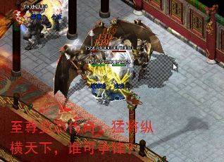 ̬棺ͽݺ£˭棿