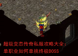̬˽ԴȫְҵεռBOSS