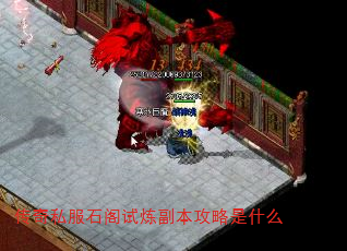 ˽ʯʲô