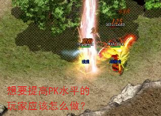 ҪPKˮƽӦô