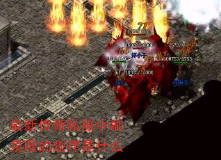 ´˽ˢȪ۵Ĺʲô