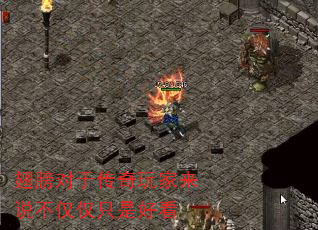 ڴ˵ֻǺÿ