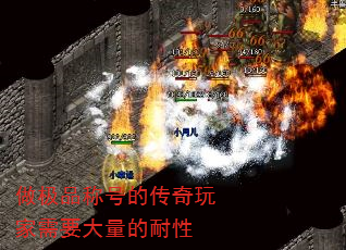 ƷƺŵĴҪ