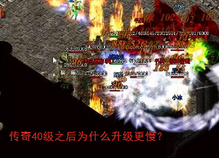 40֮Ϊʲô