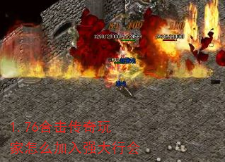 1.76ϻôǿл