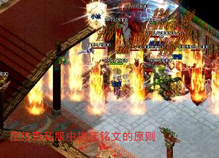 ڴ˽ѡĵԭ
