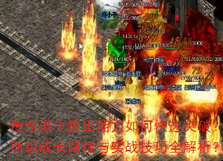 ʿοͻƣɳ·ʵսȫ