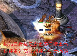 ƷҰǷױ߼װЧˢװ