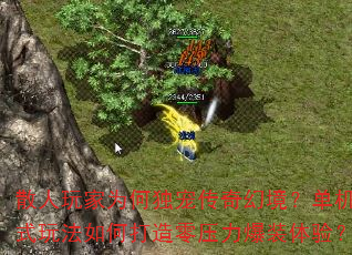 ɢΪζ贫þʽ淨δѹװ飿