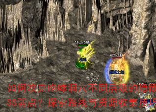 ιѨͬ㼶BOSS㣿̽·Դռɴ