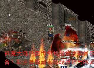 ħ½Ѫ˽οȡװְҵѡ񸱱սPKʤؾЩ