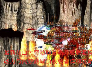Ѫ˽վսЧȡװϸָϣ