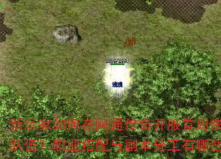 ͨ濪ܿ齨ǿ飿ְҵ븱ֹЩʤϣ