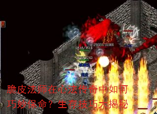 Ƥʦķ漼ɴ