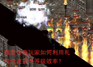 ΢䴫ȼЧʣ