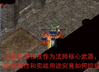 ȨΪʦԺʵս;ھ