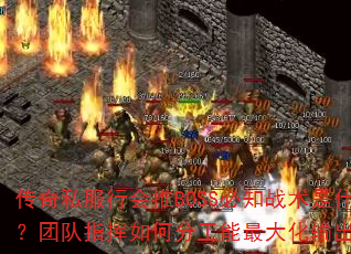 ˽лBOSS֪սʲôŶָηֹЧʣ