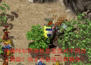PKӦӦԲͬս棿ֱرЩ