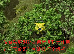˽ηǿãЧʵսȫ