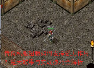 ˽ηǿãЧʵսȫ
