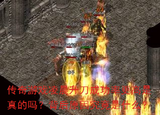 Ϸ賿ɹʸ𣿱ԭ򾿾ʲô