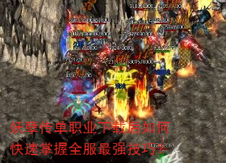 ְҵغοȫǿɣ