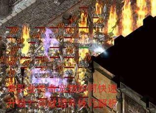 ְҵοЧɽ