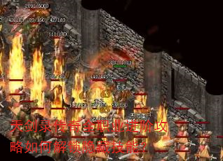 콣¼ȫְҵ׹νؼܣ