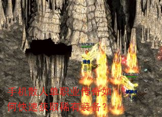 ֻɢ˵ְҵοٻȡϡװ