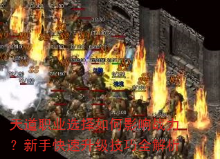 ְҵѡӰսֿȫ