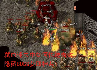 ߱ѪʧοٻBOSSȡװ