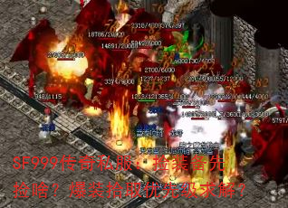 SF999˽װȼɶװʰȡȼ⣿