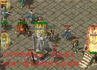 SF999˽װȼɶװʰȡȼ⣿