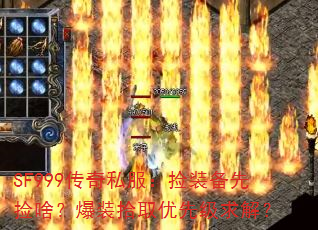 SF999˽װȼɶװʰȡȼ⣿
